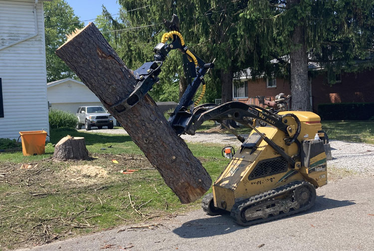 Tree Removal