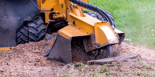 Stump Grinding